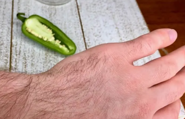How Long Does Capsaicin Burn Last ¿Cuánto dura el efecto de la capsaicina? - Scigroundbio
